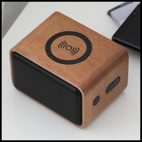 Bluetooth Speaker and Docking Station